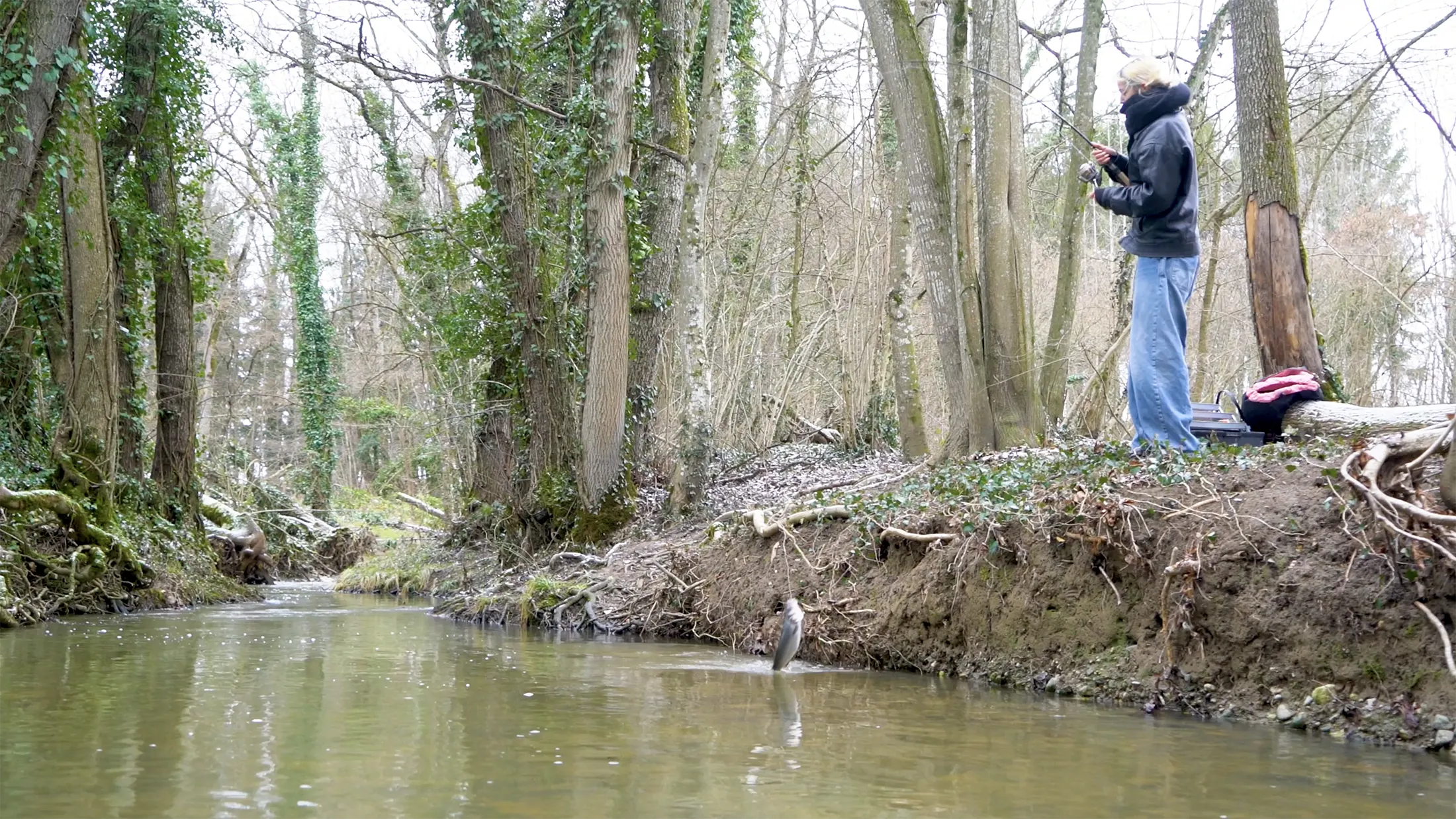 Nature et pollution