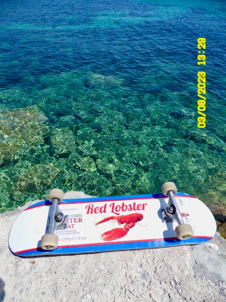 RedLobster Skateboard lac Geneva